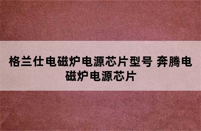 格兰仕电磁炉电源芯片型号 奔腾电磁炉电源芯片